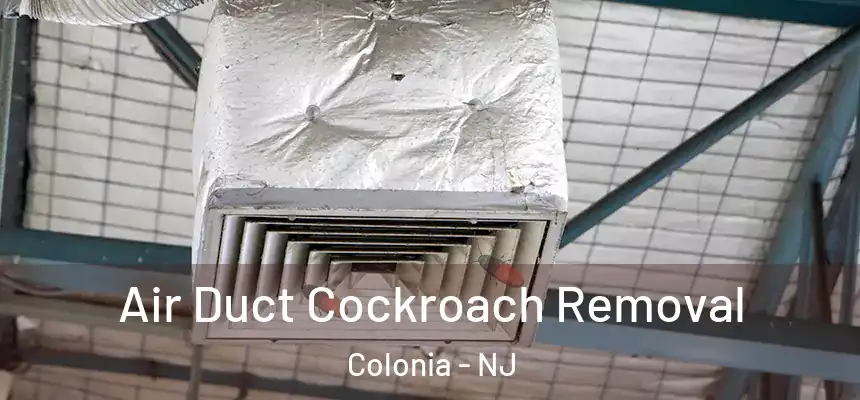 Air Duct Cockroach Removal Colonia - NJ