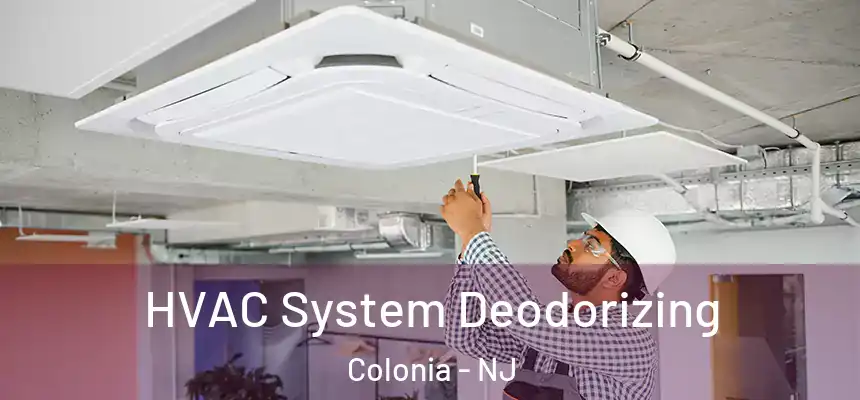  HVAC System Deodorizing Colonia - NJ