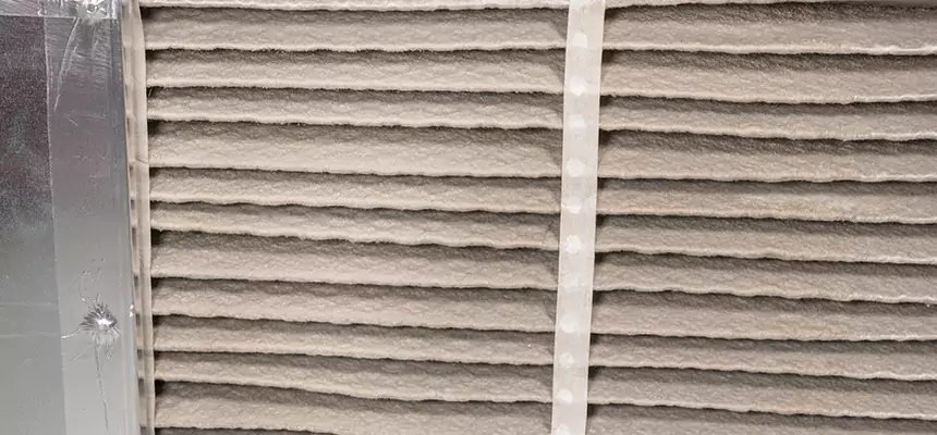 Mobile Car AC Filter Replacement in Colonia