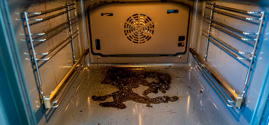 Our Dryer Vent Mold Cleaning Services in Colonia, NJ