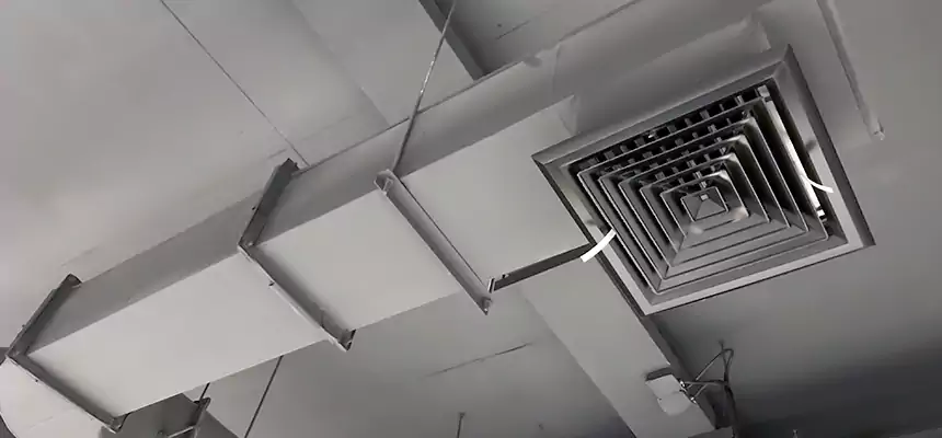 Our Pest Removal From Ducts Services in Colonia, NJ