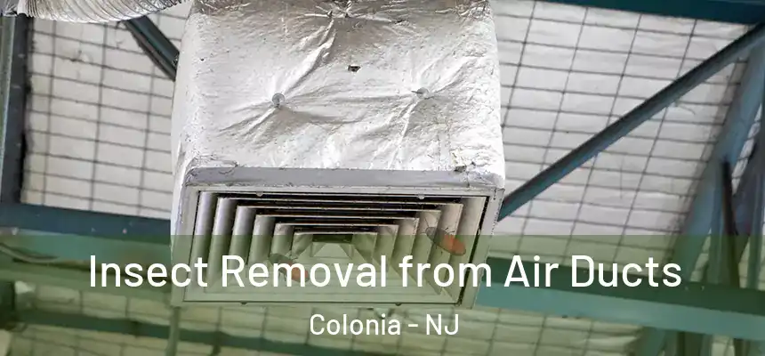  Insect Removal from Air Ducts Colonia - NJ
