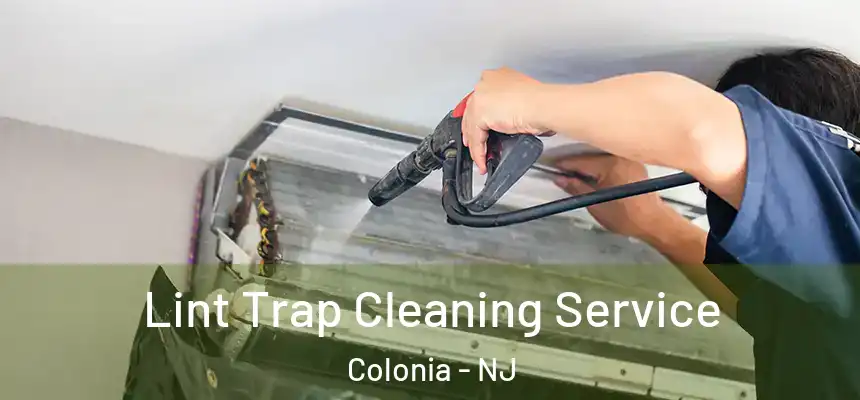 Lint Trap Cleaning Service Colonia - NJ