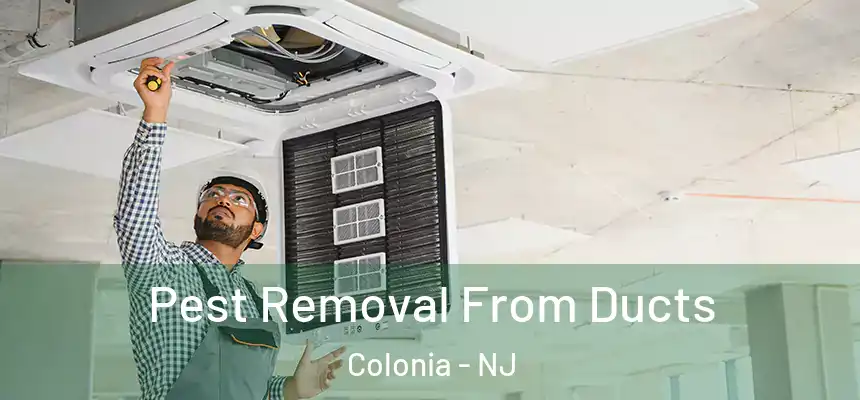Pest Removal From Ducts Colonia - NJ