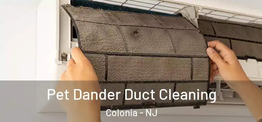 Pet Dander Duct Cleaning Colonia - NJ