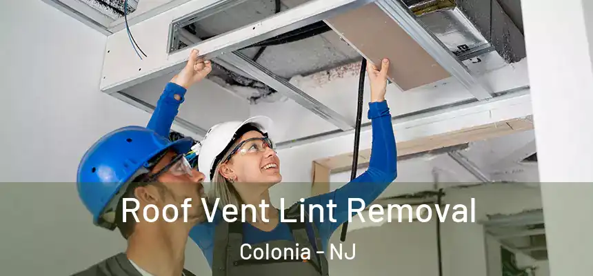  Roof Vent Lint Removal Colonia - NJ