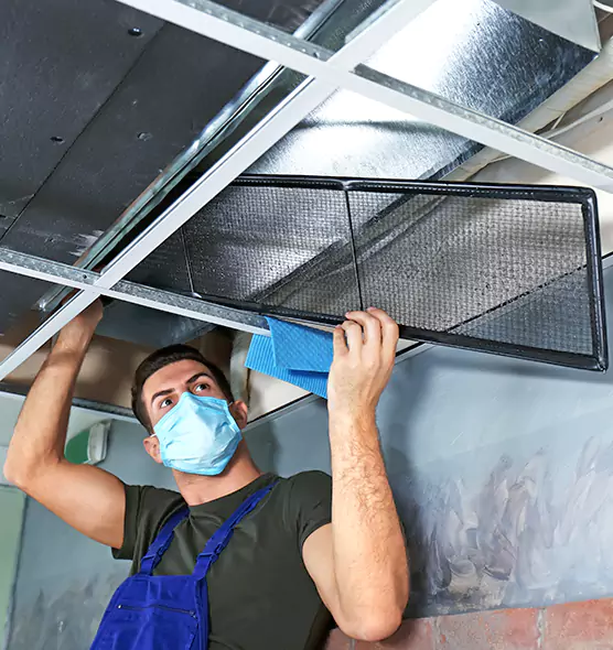 About Air Duct Bacteria Removal in Colonia