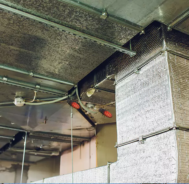 Why Homeowners & Businesses Trust Us in Colonia, NJ?