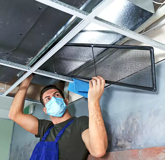 Why Homeowners Businesses Trust Us in Colonia, NJ