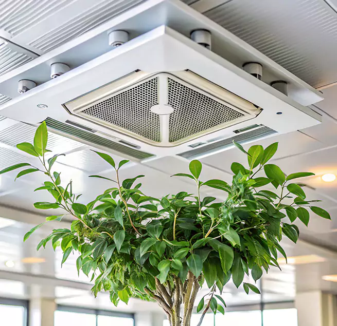 Why Homeowners & Businesses Trust Us in Colonia, NJ