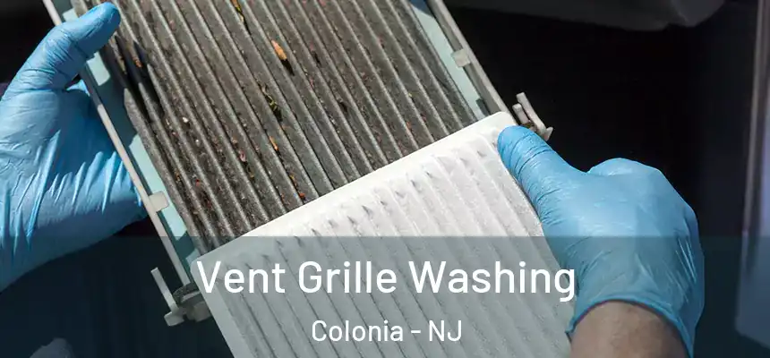 Vent Grille Washing Colonia - NJ